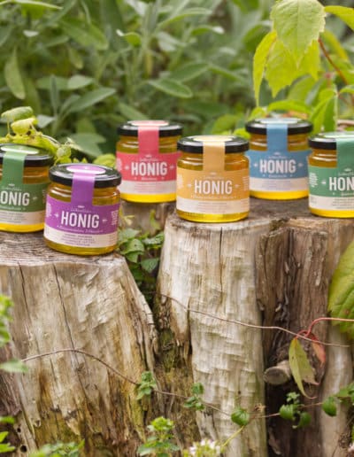 Beepleasure Alle Sorten Schwarmgold