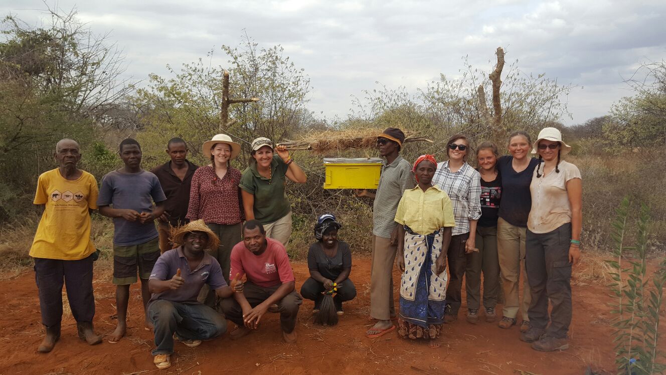 Elephants and Bees Project Grouppicture
