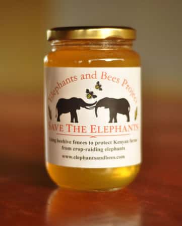 Honey Jar Cropped S 361x450