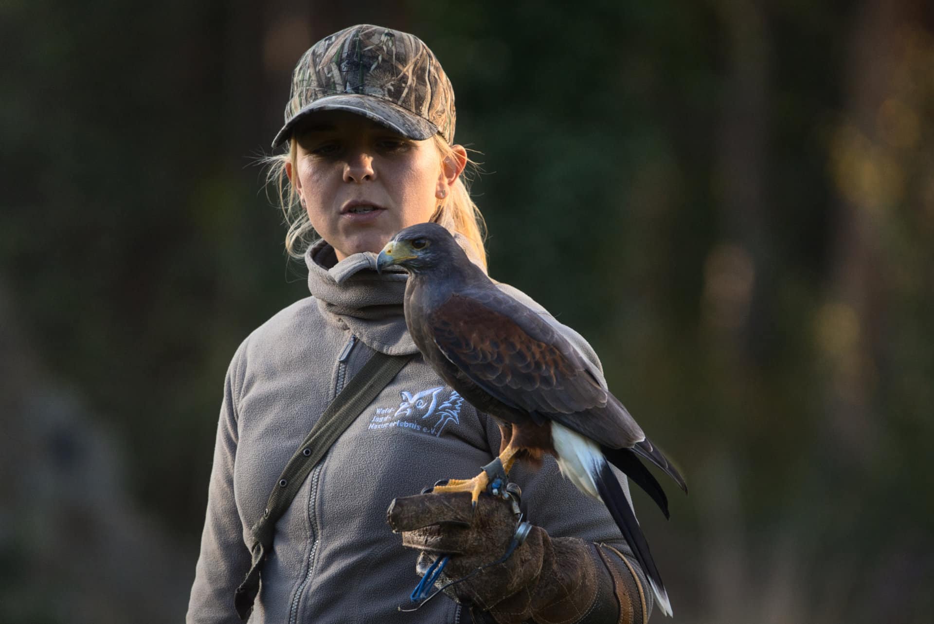 Hilfe für Greifvögel - Schwarmgold Honigetiketten
